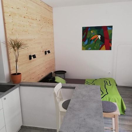 Ferienwohnung Studio apartman Fleiss Samobor Exterior foto