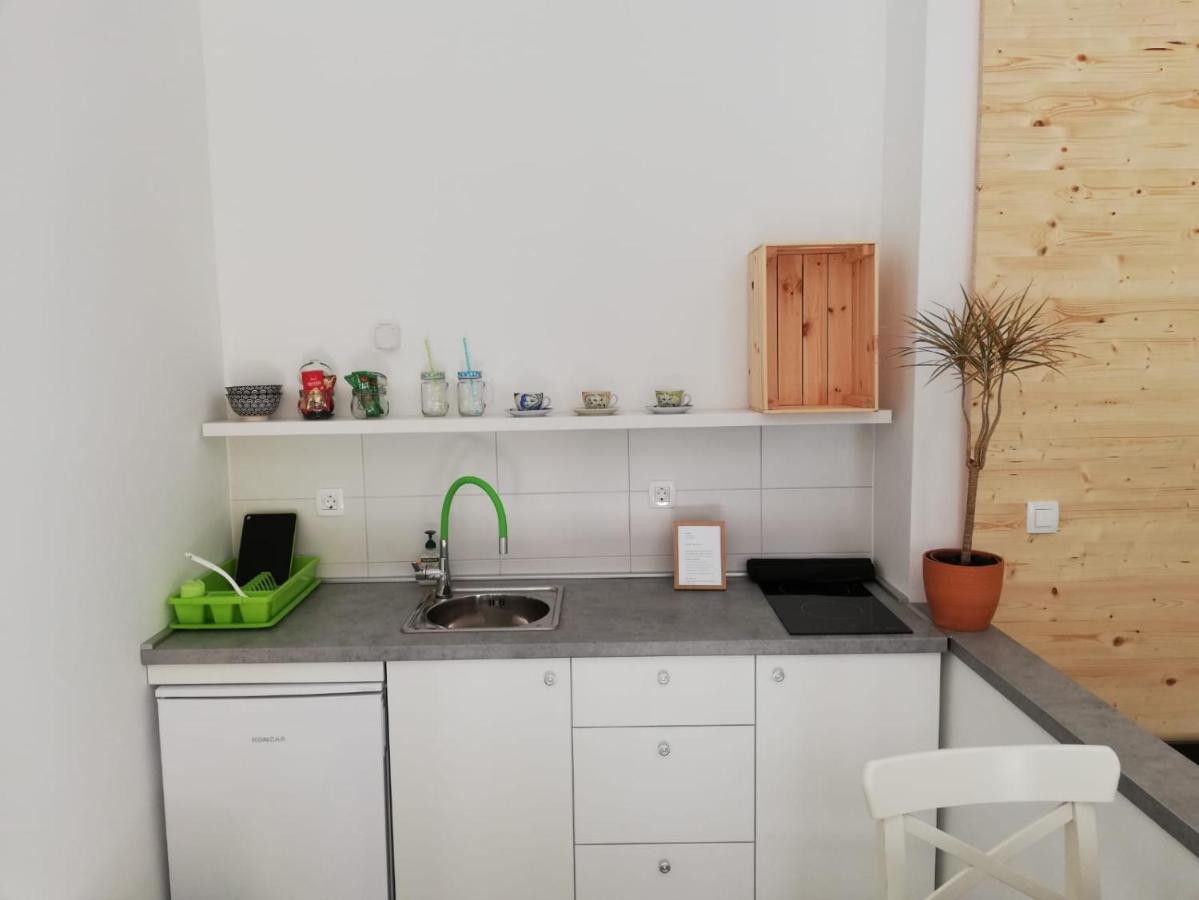 Ferienwohnung Studio apartman Fleiss Samobor Exterior foto